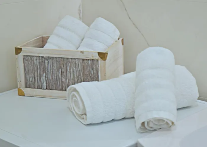 Case de vacanță Puas *